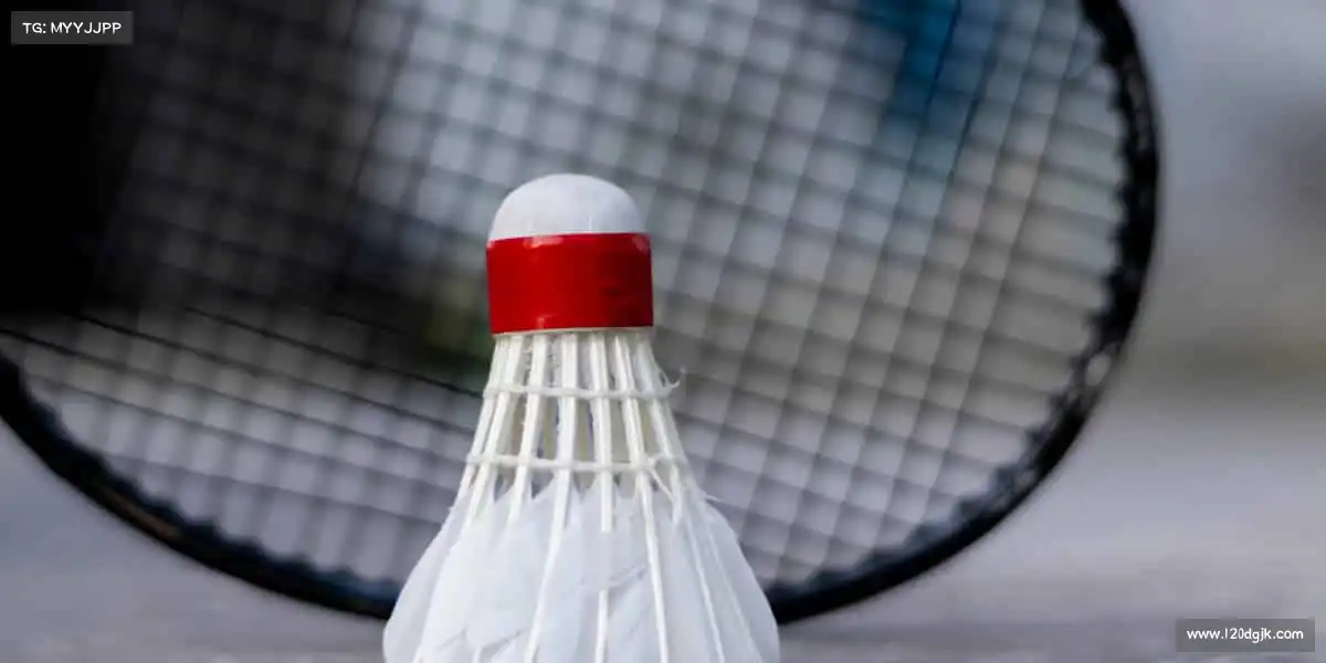 玩家的期待,是我们前进的燃料!🚀💨